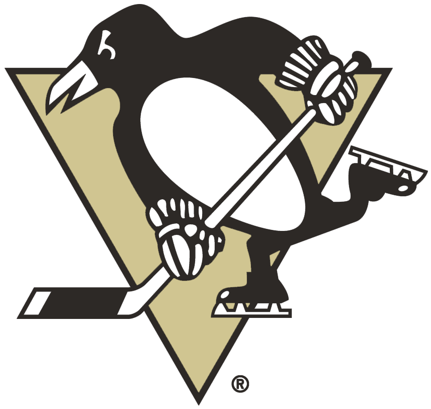 Pittsburgh Penguins 2002-2016 Primary Logo fabric transfer